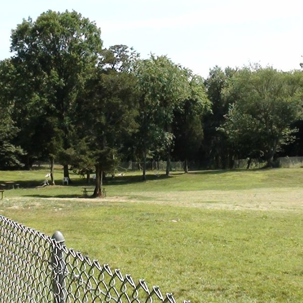 THE 10 BEST Restaurants Near Central Bark Dog Park (Updated 2025)