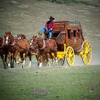 Harris Stage Lines Stagecoach