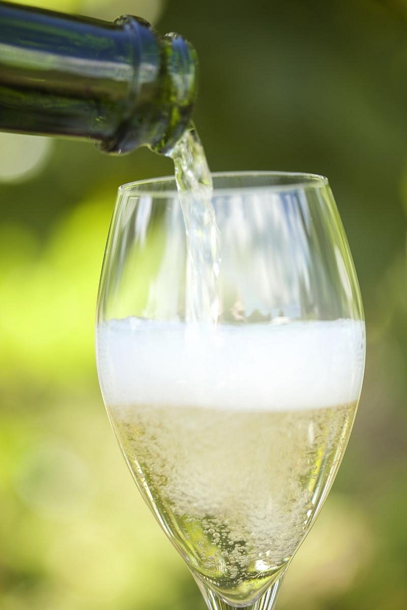 Vineyard Spotlight: Moët Hennessy Champagnes and Sparkling Wines