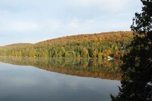 Début des couleurs