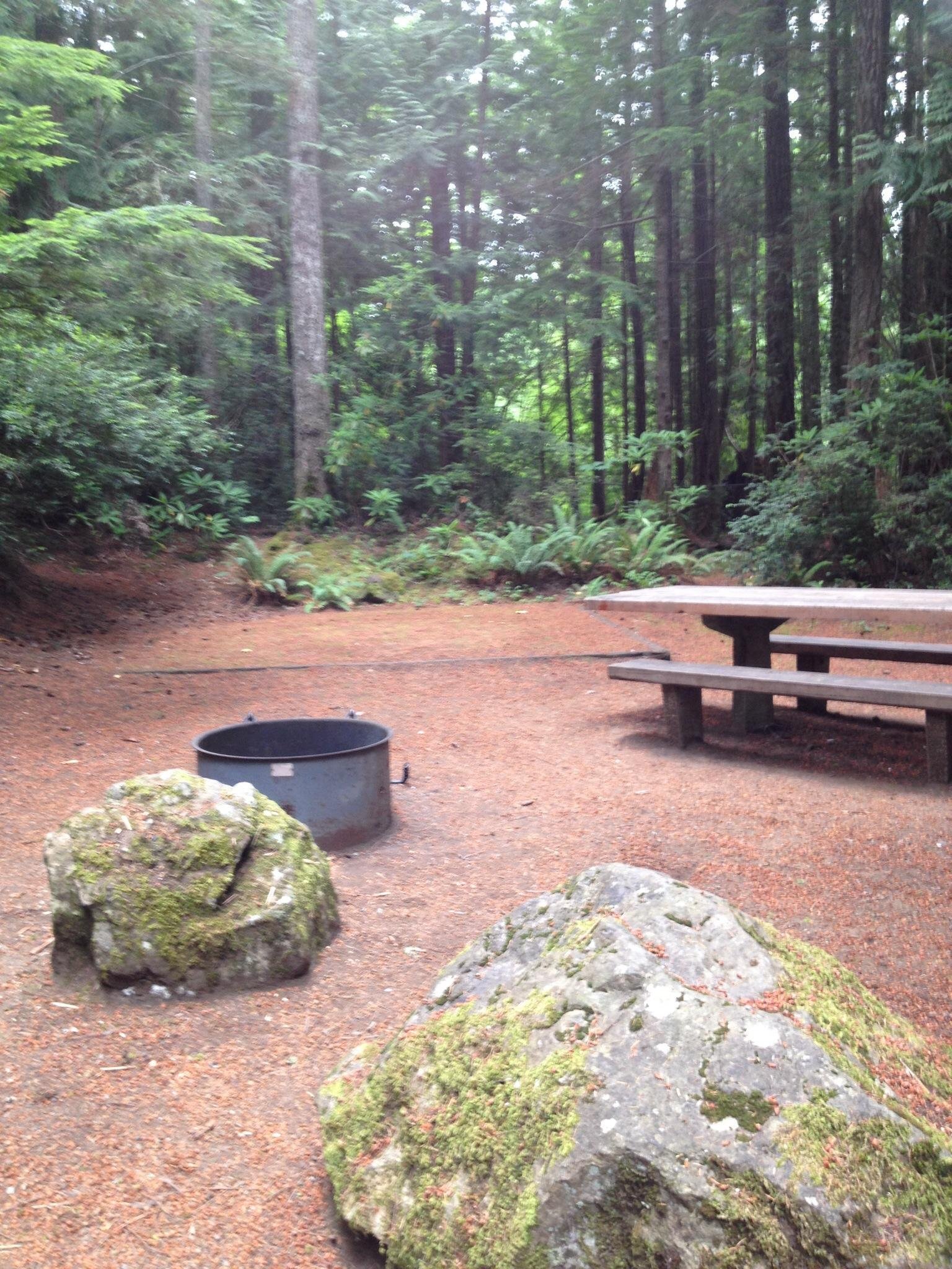 SEAL ROCK CAMPGROUND (Olympic National Park, WA) - foto's en reviews ...