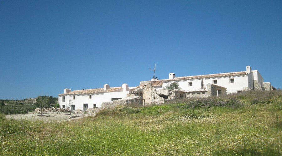 The house