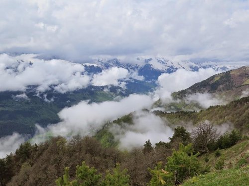 Samegrelo-Zemo Svaneti Region Oded M review images