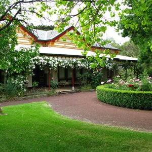Quamby Homestead in Full Bloom