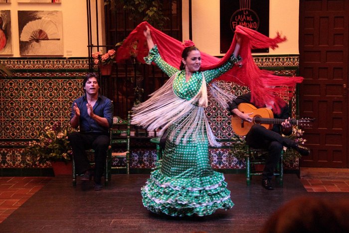 Imagen 4 de La Casa del Flamenco