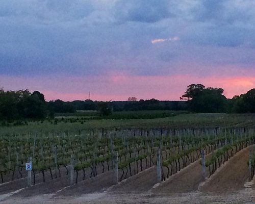 south jersey wineries and breweries