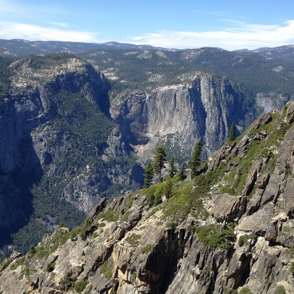 Merced Grove Yosemite Ulusal Parkı Merced Grove Yorumları Tripadvisor