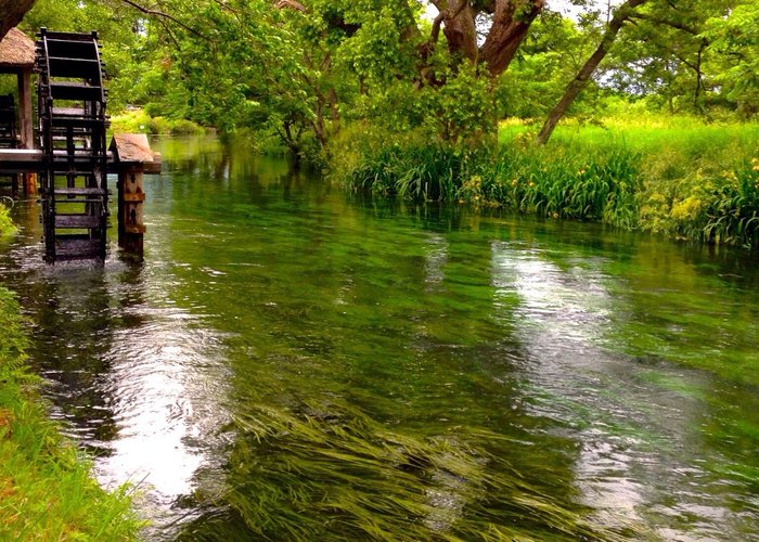 The clear water at the river in the farm. Great view indeed.