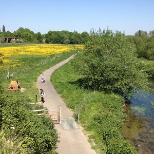 Rspb Reserve Blean Woods Canterbury 21 All You Need To Know Before You Go With Photos Canterbury Uk Tripadvisor