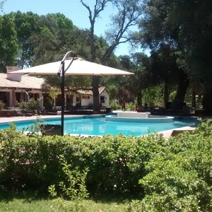alberca