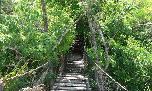Hanging bridge