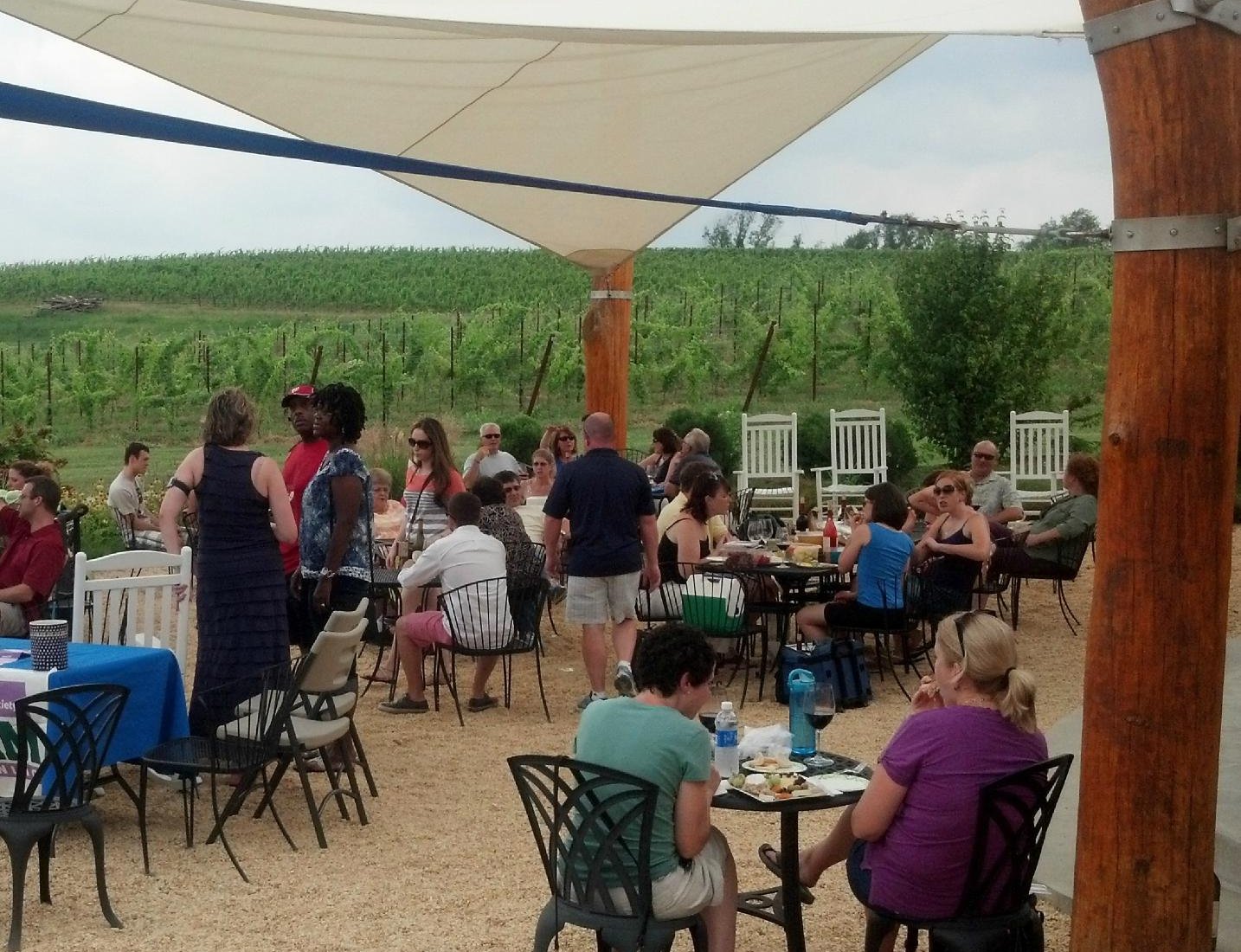 Vino 301 Wine Concierge Tours (2025) All You Need to Know BEFORE You Go (with Reviews)