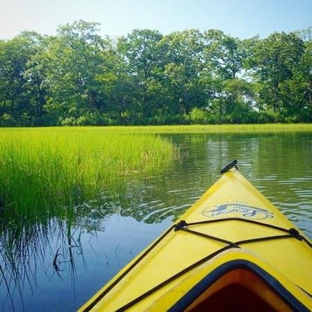 implicitte Hvad er der galt Mængde af Kayak Shelter Island - All You Need to Know BEFORE You Go