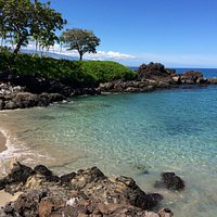 Ala Kahakai National Historic Trail- South of Spencer Beach Park
