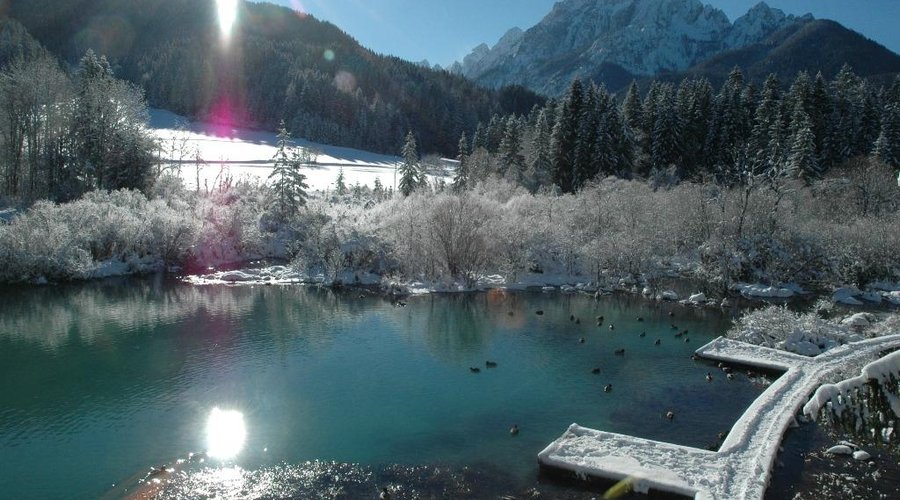 Zelenci - the spring of Upper Sava river