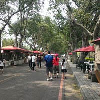 古坑綠色隧道