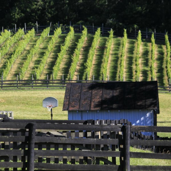 THE BEST Restaurants Near Aspen Dale Winery at the Barn (2025)