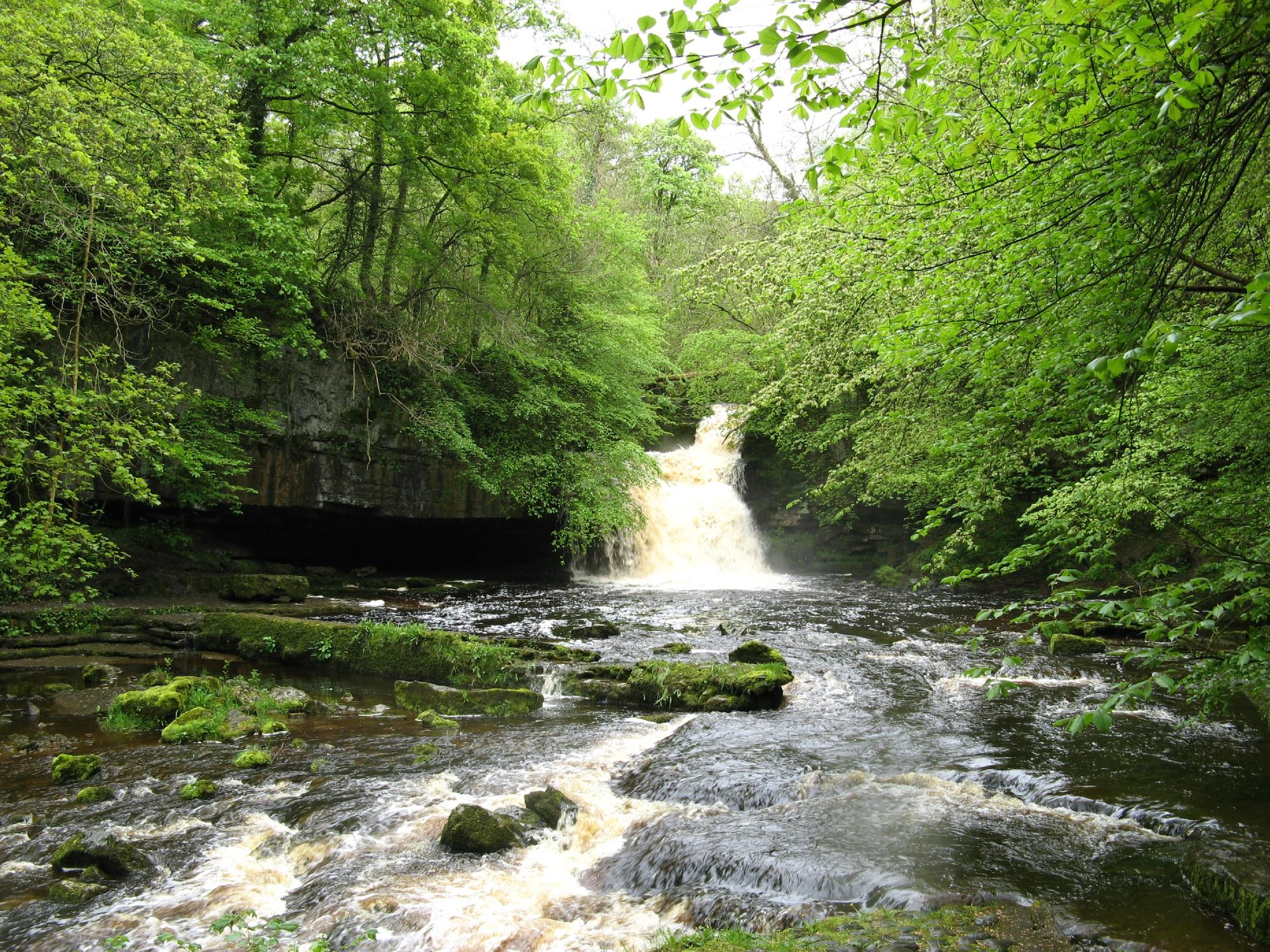 West Burton Falls All You Need to Know BEFORE You Go 2024