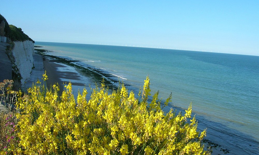 tours of thanet earth