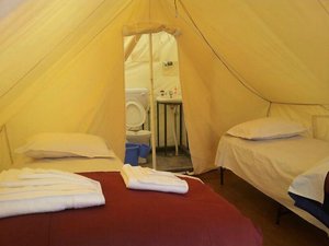 Room & Suite