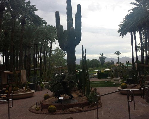 Inside a Scottsdale, Arizona bar there's a Eagles fan club that