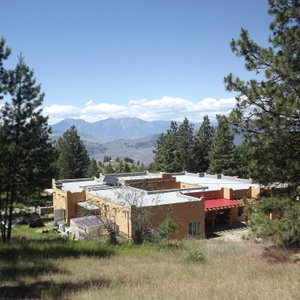 The house