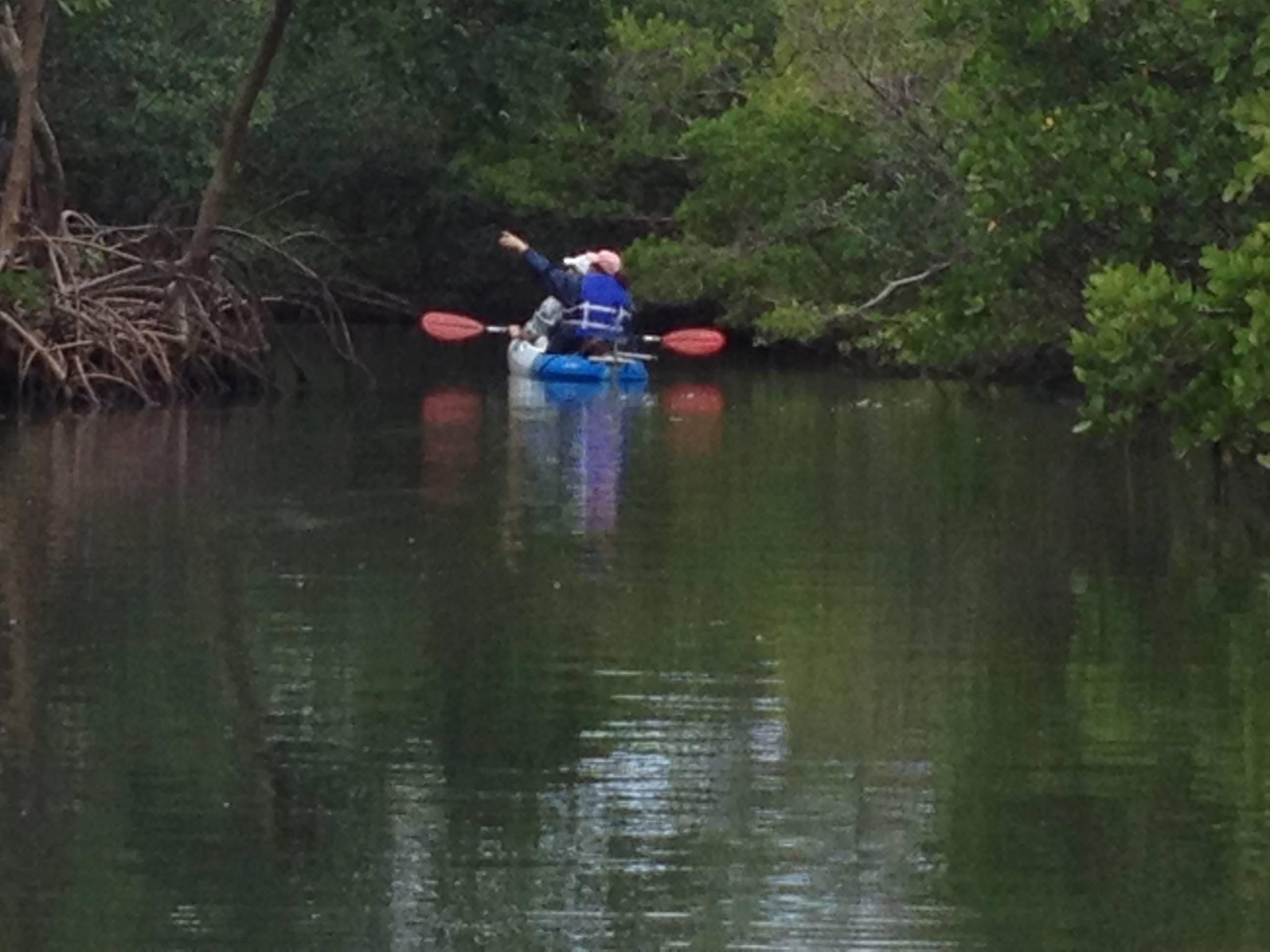 MOTORIZED KAYAK ADVENTURES (Fort Pierce) - 2023 What to Know BEFORE You Go