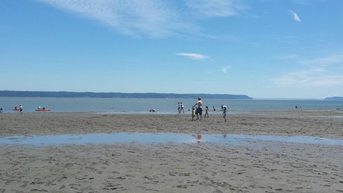 Camano Island review images