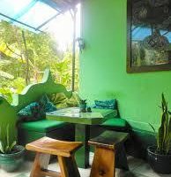 Back Terrace Garden