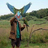 flyveshow