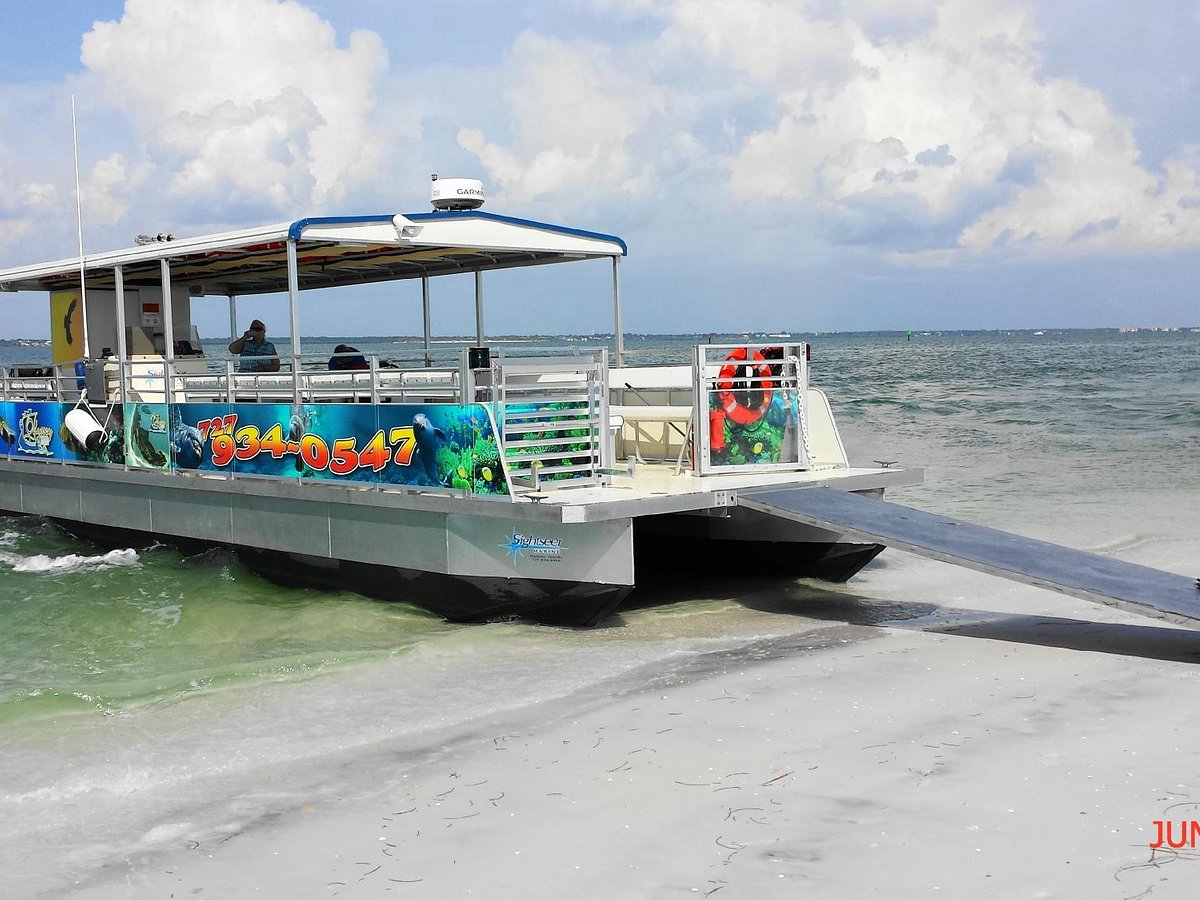 Dolphin Boat Tours Near Me