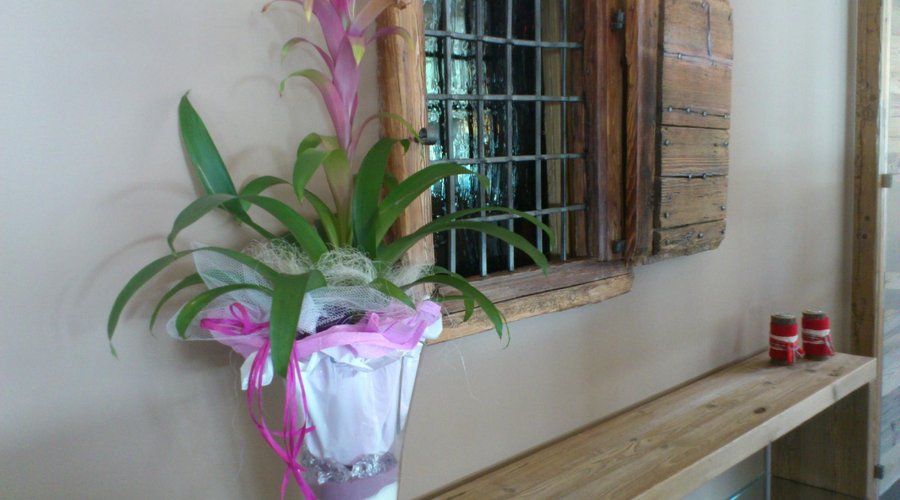 interno