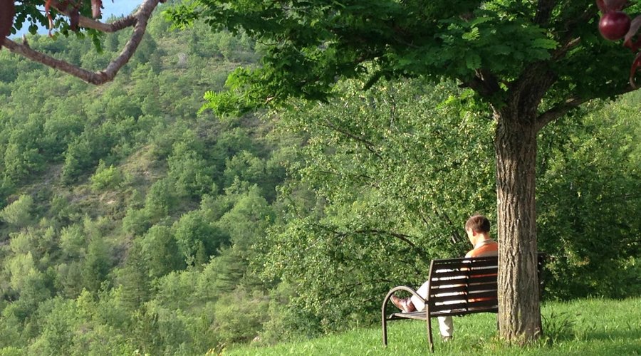 Un banc pour rêver face à la montagne