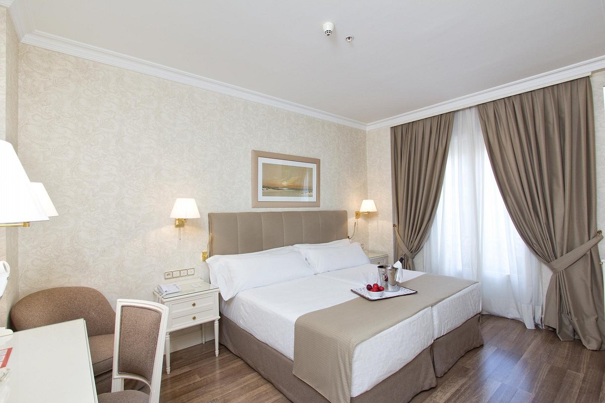 阿特朗堤科酒店，位於馬德里的飯店