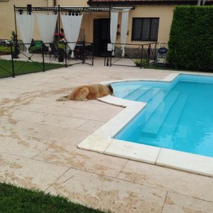 Amore lui �� mi manca già questo posto!