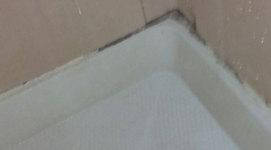 mold to help you clean up!