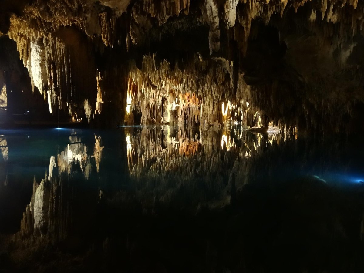 Cenote Aktun Chen (Akumal) - All You Need to Know BEFORE You Go