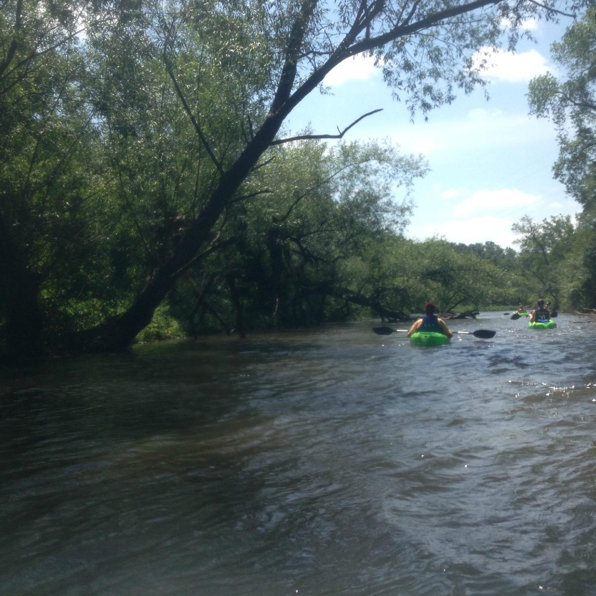 Река звонка. Река дас. University of Wisconsin - River Falls. Река руш.