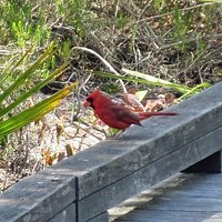What we saw in the Preserve.