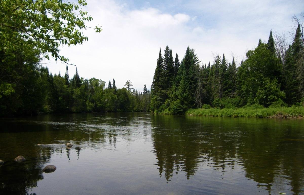 Au Sable River (2025) - All You Need to Know BEFORE You Go (with Reviews)