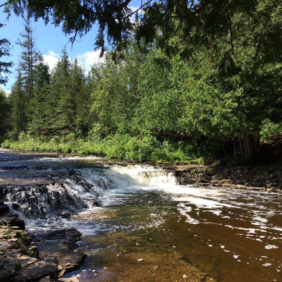 Ocqueoc Falls - Qué SABER antes de ir (ACTUALIZADO 2024) - Tripadvisor