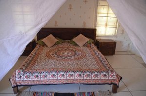 Palette - Camp Thar in Osian