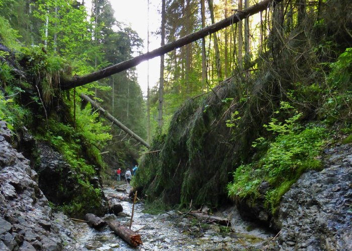 sucha bela trail