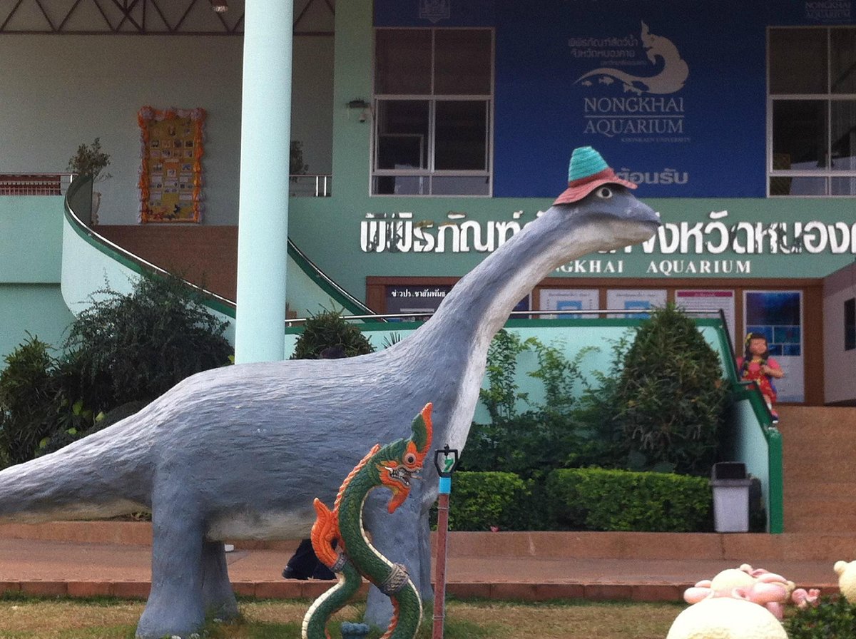 Nong Khai Aquarium All You Need To Know Before You Go 