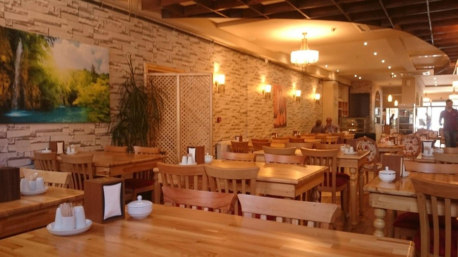 Papatya