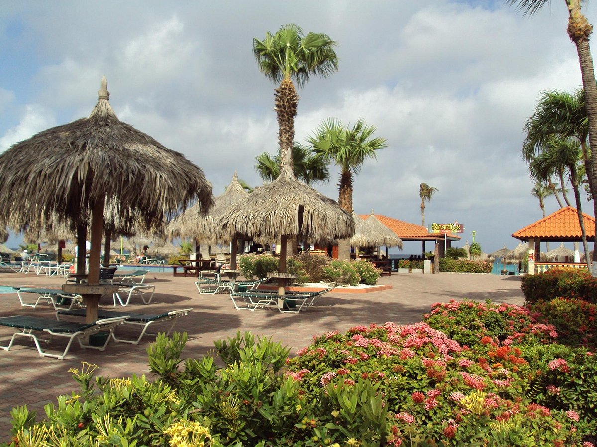 Aruba Beach Club Resort Pool Pictures & Reviews - Tripadvisor
