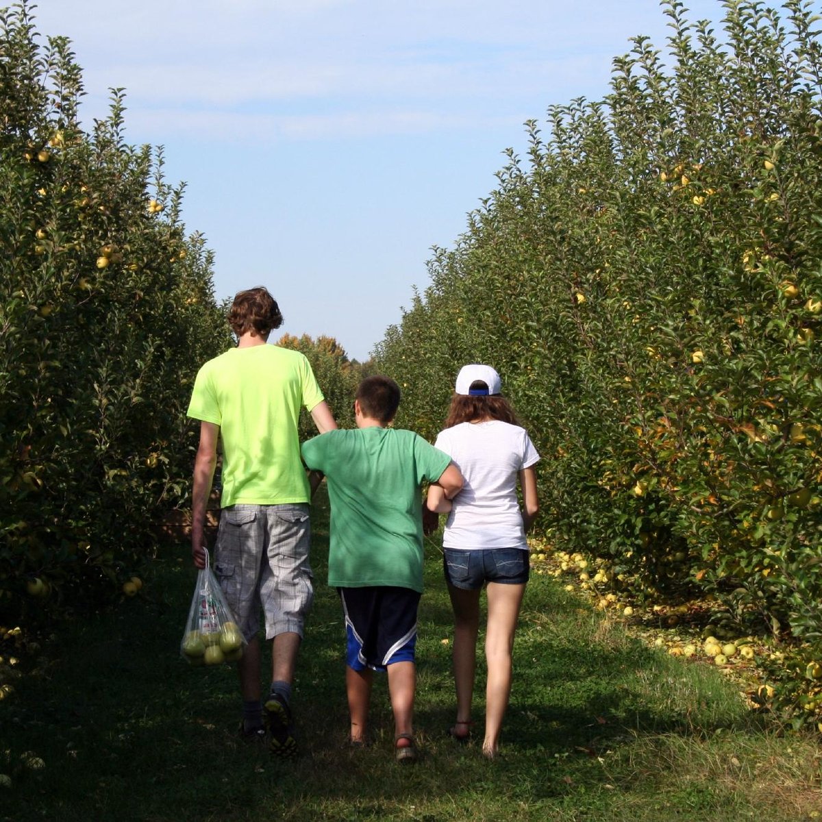 Garwood Orchards La Porte 2021 All You Need To Know Before You Go With Photos Tripadvisor