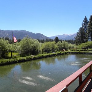 South Lake Tahoe Ice Arena - All You Need to Know BEFORE You Go