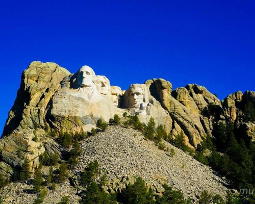 For Kids: Wildlife of South Dakota