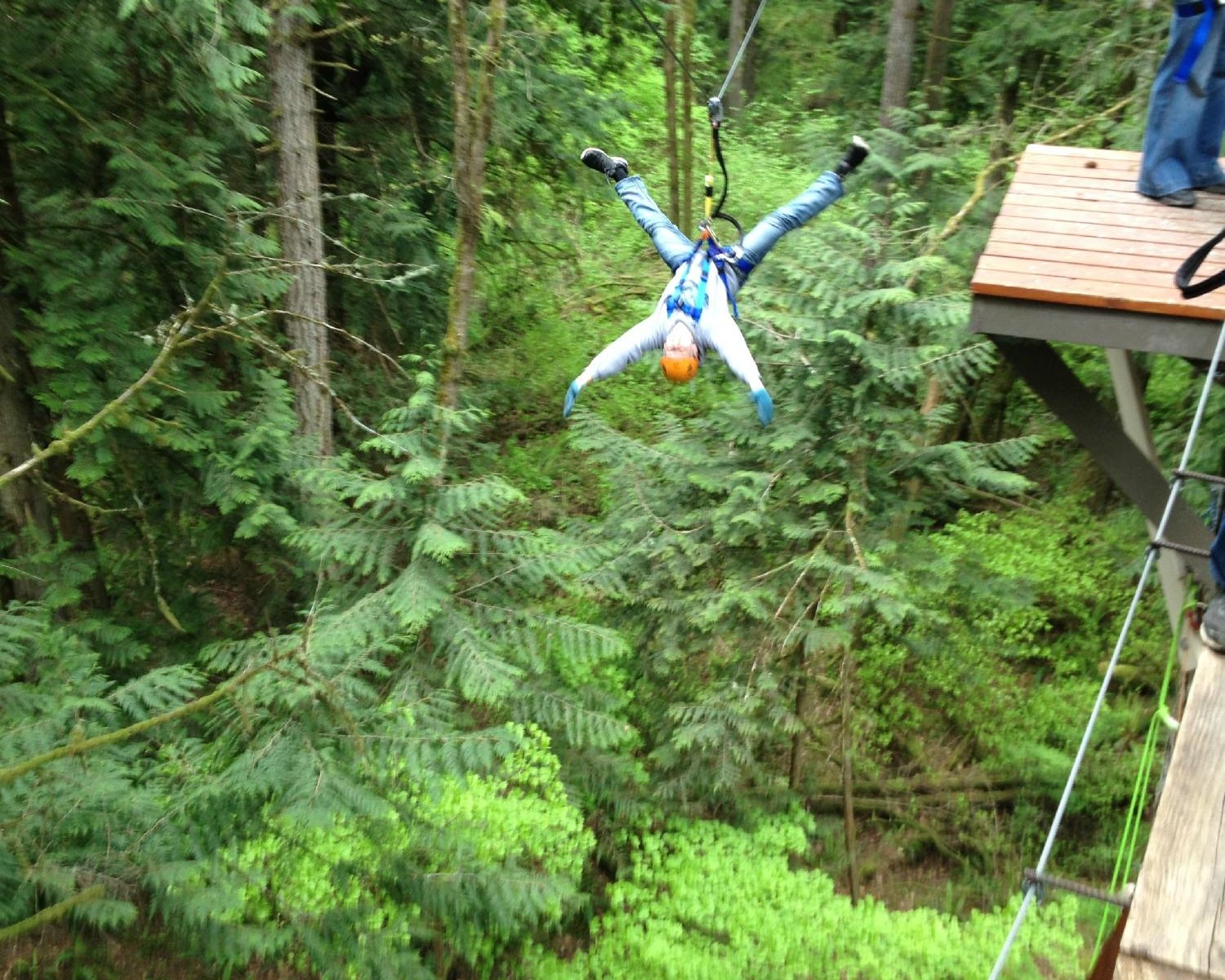 Treehouse Island Zipline Adventures - All You Need to Know BEFORE You ...